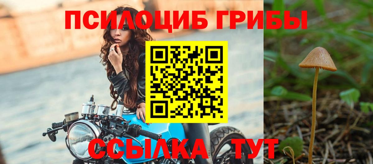 Галлюциногенные грибы GOLDEN TEACHER Верхняя Пышма